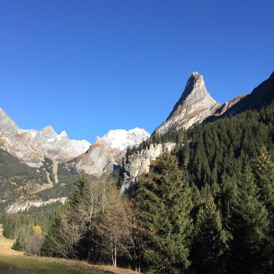 Appartement Montana 8 Pralognan-la-Vanoise Dış mekan fotoğraf